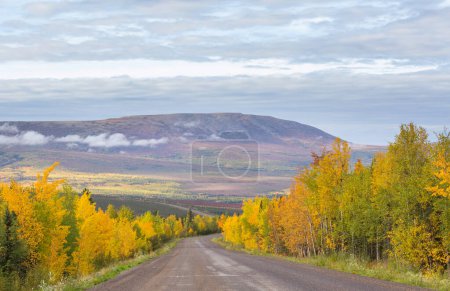 Téléchargez les photos : Scène d'automne colorée sur la route de campagne dans la forêt - en image libre de droit