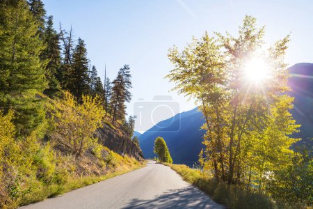 Photo for Colorful Autumn scene on countryside road in the forest - Royalty Free Image