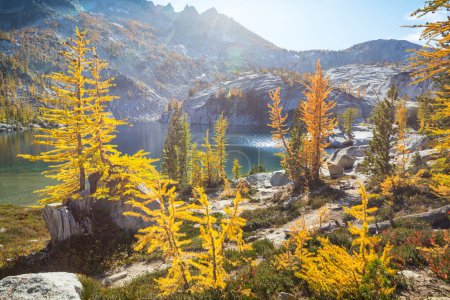 Photo for Beautiful Alpine lakes wilderness area  in Washington, USA - Royalty Free Image