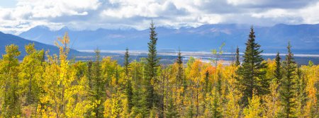 Photo for Beautiful autumn season in Canadian mountains. Fall background. - Royalty Free Image
