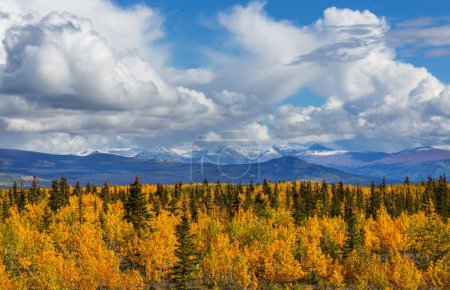 Foto de Hermosa temporada de otoño en las montañas canadienses. Fondo de caída. - Imagen libre de derechos