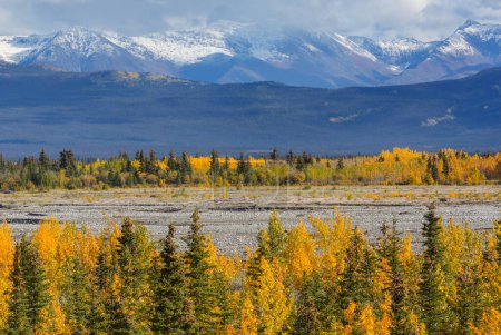 Foto de Hermosa temporada de otoño en las montañas canadienses. Fondo de caída. - Imagen libre de derechos