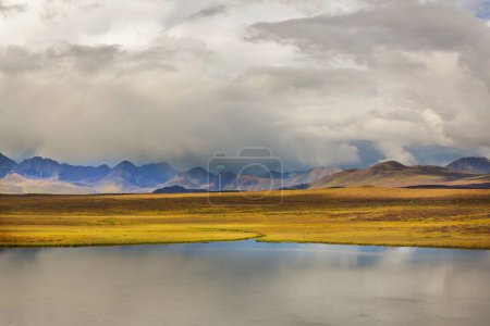 Photo for Tundra landscapes above Arctic circle in autumn season. Beautiful natural background. - Royalty Free Image