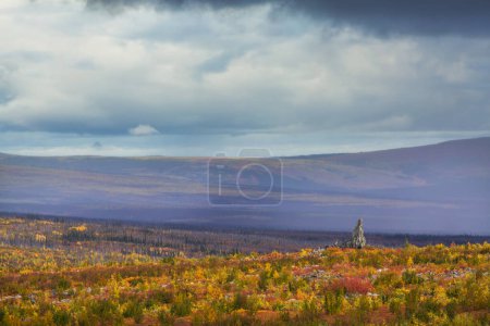 Téléchargez les photos : Tundra landscapes above Arctic circle in autumn season. Beautiful natural background. - en image libre de droit
