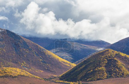 Foto de Autumn season in mountains. Colorful natural background. - Imagen libre de derechos