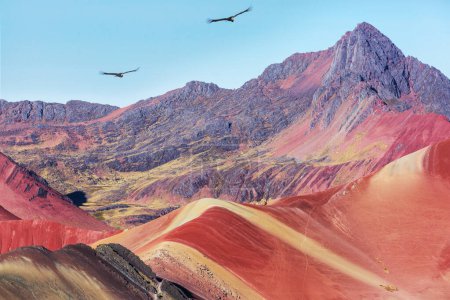 Téléchargez les photos : Condor sur les collines arc-en-ciel au Pérou, Amérique du Sud - en image libre de droit