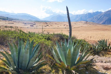 Photo for Rural landscapes in Cordillera de Los Andes, Peru, South America - Royalty Free Image