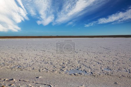 Foto de Salt pond in the Baja California, Mexico - Imagen libre de derechos
