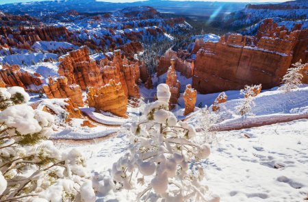 Téléchargez les photos : Rochers roses pittoresques et colorés du parc national de Bryce Canyon en hiver, Utah, États-Unis - en image libre de droit