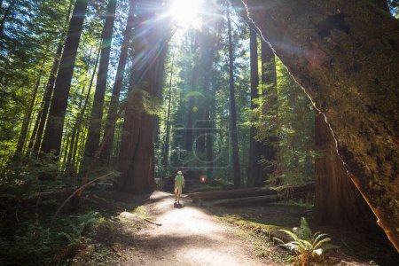 Foto de Hombre de senderismo bahía el sendero en el bosque.Naturaleza ocio caminata viajes al aire libre - Imagen libre de derechos