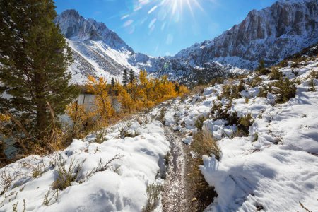 Foto de Vistas panorámicas de Sierra Nevada. otoño follaje paisaje. California, Estados Unidos
. - Imagen libre de derechos