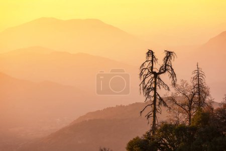 Photo for Autumn season in mountains. Colorful natural background. - Royalty Free Image