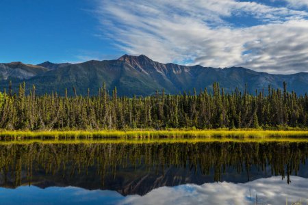 Photo for Serenity lake in tundra in Alaska - Royalty Free Image
