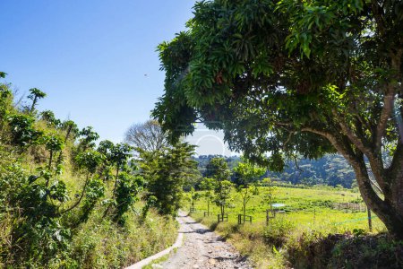 Téléchargez les photos : Beaux paysages ruraux verdoyants dans une montagne en Colombie, Amérique du Sud - en image libre de droit