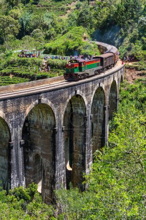 Foto de Tren en la carretera de tren más pintoresca de Sri Lanka - Imagen libre de derechos