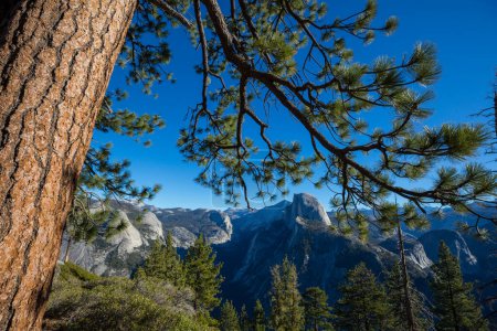 Foto de Hermosos paisajes del Parque Nacional Yosemite, California - Imagen libre de derechos