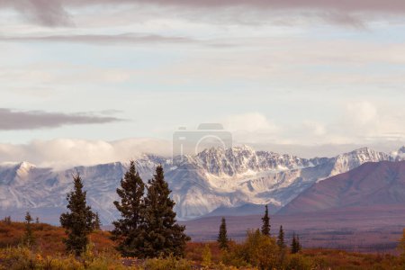 Téléchargez les photos : Picturesque Mountains of Alaska in autumn. Snow covered massifs, glaciers and rocky peaks, orange trees. Beautiful natural background. - en image libre de droit