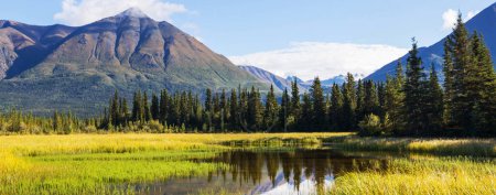 Téléchargez les photos : Lac de sérénité dans la toundra en Alaska - en image libre de droit