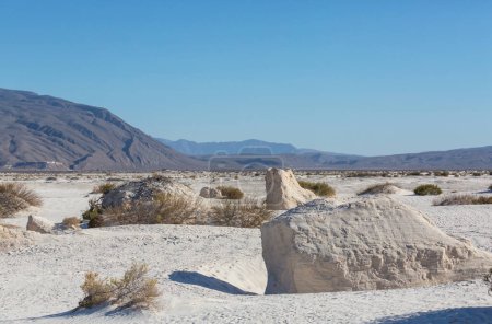 Téléchargez les photos : Paysages naturels insolites dans les dunes de sable blanc au Mexique - en image libre de droit