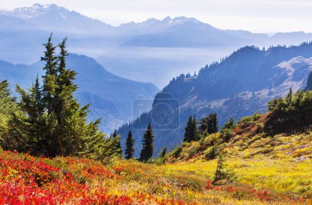 Téléchargez les photos : Saison d'automne colorée dans les montagnes au lever du soleil - en image libre de droit