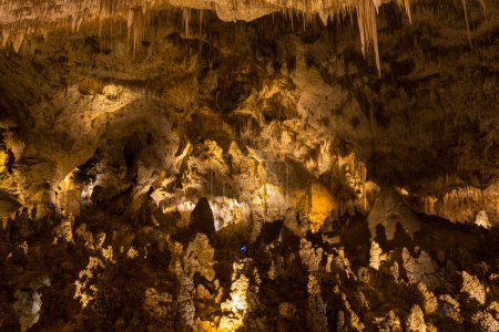 Téléchargez les photos : Parc national des Cavernes de Carlsbad aux États-Unis, Nouveau-Mexique - en image libre de droit