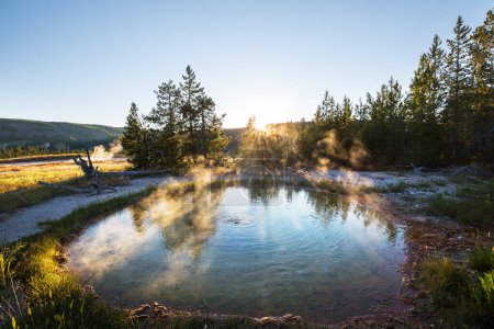 Téléchargez les photos : Colorful Morning Glory Pool - célèbre source chaude dans le parc national de Yellowstone, Wyoming, États-Unis - en image libre de droit