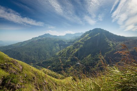 Téléchargez les photos : Beaux paysages naturels verts dans les montagnes du Sri Lanka - en image libre de droit