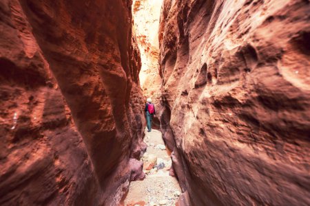 Téléchargez les photos : Canyon à sous dans le Grand Staircase Escalante National Park, Utah, États-Unis. Des formations de grès colorées inhabituelles dans les déserts de l'Utah sont une destination populaire pour les randonneurs. - en image libre de droit