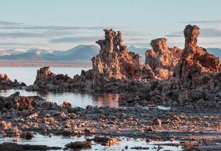 Photo for Unusual Mono lake formations at the sunrise - Royalty Free Image