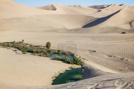 Téléchargez les photos : Oasis dans le désert de sable près de Ica ville au Pérou. Lac et arbres à l'intérieur des dunes - en image libre de droit