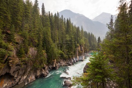 Photo for Beautiful mountains river in summer season, Canada - Royalty Free Image