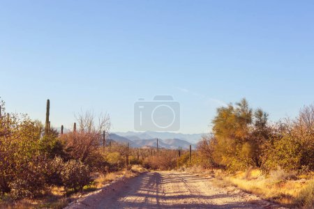 Photo for Beautiful natural landscapes in Baja California, Mexico - Royalty Free Image