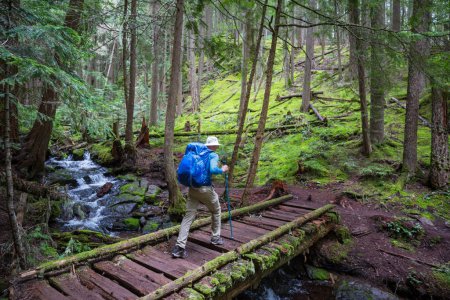 Foto de Hombre de senderismo bahía el sendero en el bosque.Naturaleza ocio caminata viajes al aire libre - Imagen libre de derechos
