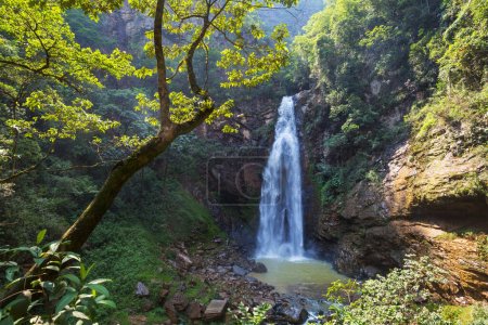 Téléchargez les photos : Belle cascade dans la jungle, Bolivie, Amérique du Sud - en image libre de droit