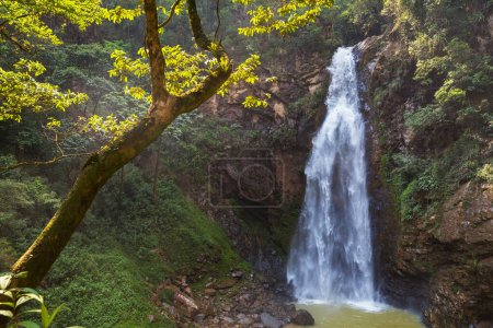 Foto de Hermosa cascada en la selva, Bolivia, América del Sur - Imagen libre de derechos