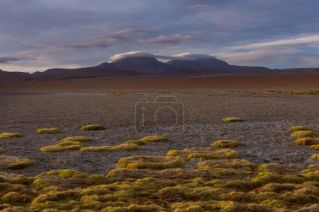 Photo for Unusual mountains landscapes  in Bolivia altiplano travel adventure South America - Royalty Free Image