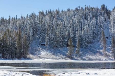 Photo for Serenity lake in winter season, Sierra Nevada, California, USA - Royalty Free Image
