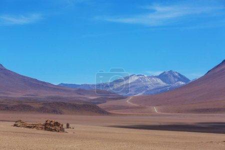 Foto de El desierto épico de Salvador Dalí. Paisajes naturales inusuales en Bolivia. - Imagen libre de derechos