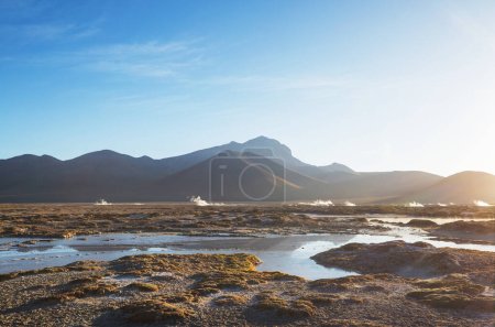 Téléchargez les photos : Source chaude naturelle dans le désert d'Atacama, Chili, Amérique du Sud. - en image libre de droit