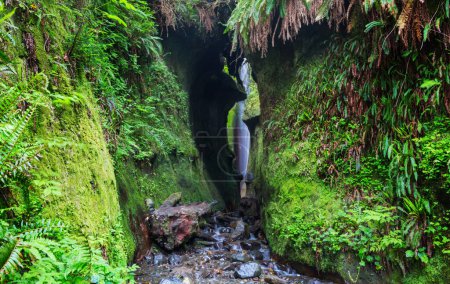 Foto de Cascada secreta dentro de un cañón en Sombrio Beach, Vancouver Island, Canadá - Imagen libre de derechos