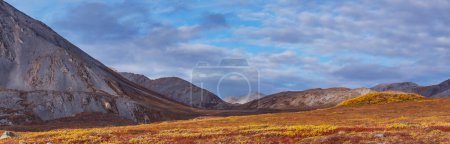 Téléchargez les photos : Paysages de toundra au-dessus du cercle arctique - en image libre de droit