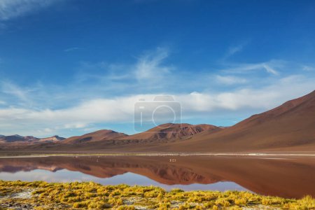 Foto de El paisaje surrealista de Sudamérica. Colorida Laguna Colorada en la meseta Altiplano en Bolivia
. - Imagen libre de derechos