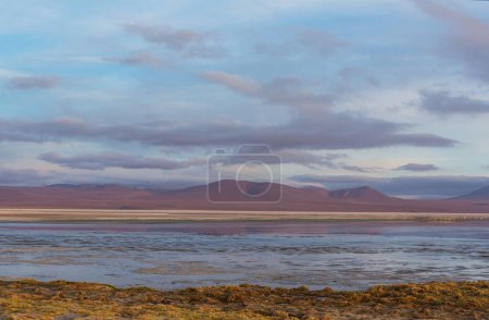 Foto de Lago Altiplano en Cordillera de los Andes, Bolivia, Sudamérica - Imagen libre de derechos