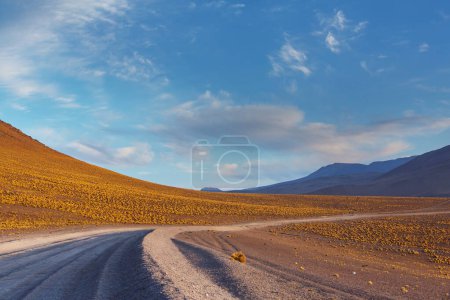 Photo for Scenic road in the Altiplano, Bolivia. Travel background. - Royalty Free Image