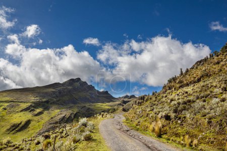 Téléchargez les photos : Route panoramique dans les montagnes. Contexte du voyage. - en image libre de droit