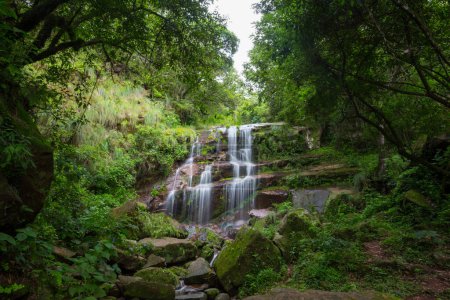 Photo for Beautiful small waterfall in green jungle, Argentina, South America - Royalty Free Image