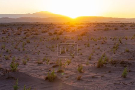 Foto de Desierto al amanecer, Chile, Atacama - Imagen libre de derechos