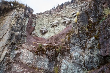 Photo for Dinosaur footprint in Cordillera mountains, Peru - Royalty Free Image
