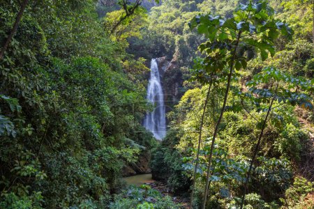 Photo for Beautiful waterfall in jungle, Bolivia, South America - Royalty Free Image