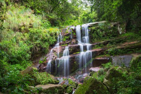 Foto de Hermosa cascada pequeña en la selva verde, Argentina, América del Sur - Imagen libre de derechos